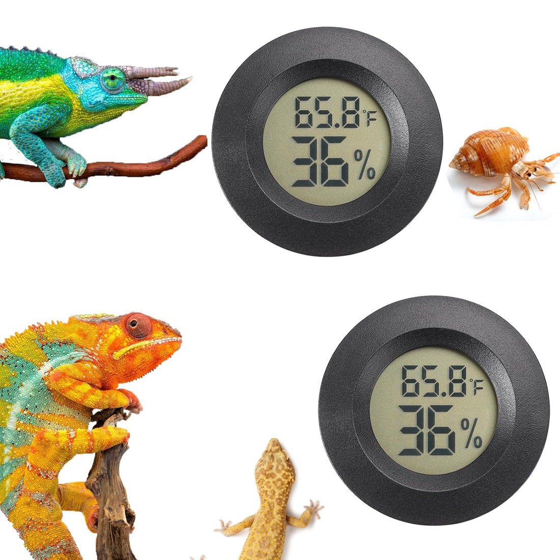 Reptile Thermometer and Humidity Gauge Digtal Terrarium Thermometer