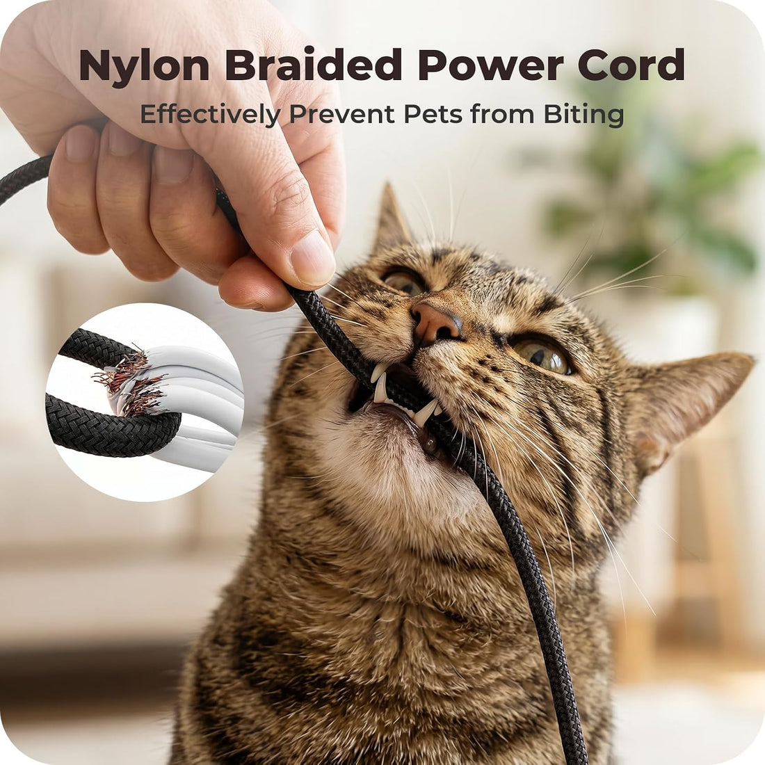 Automatic Cat Feeder with 2K Camera: 5G WiFi Auto Dog Feeder - 6L