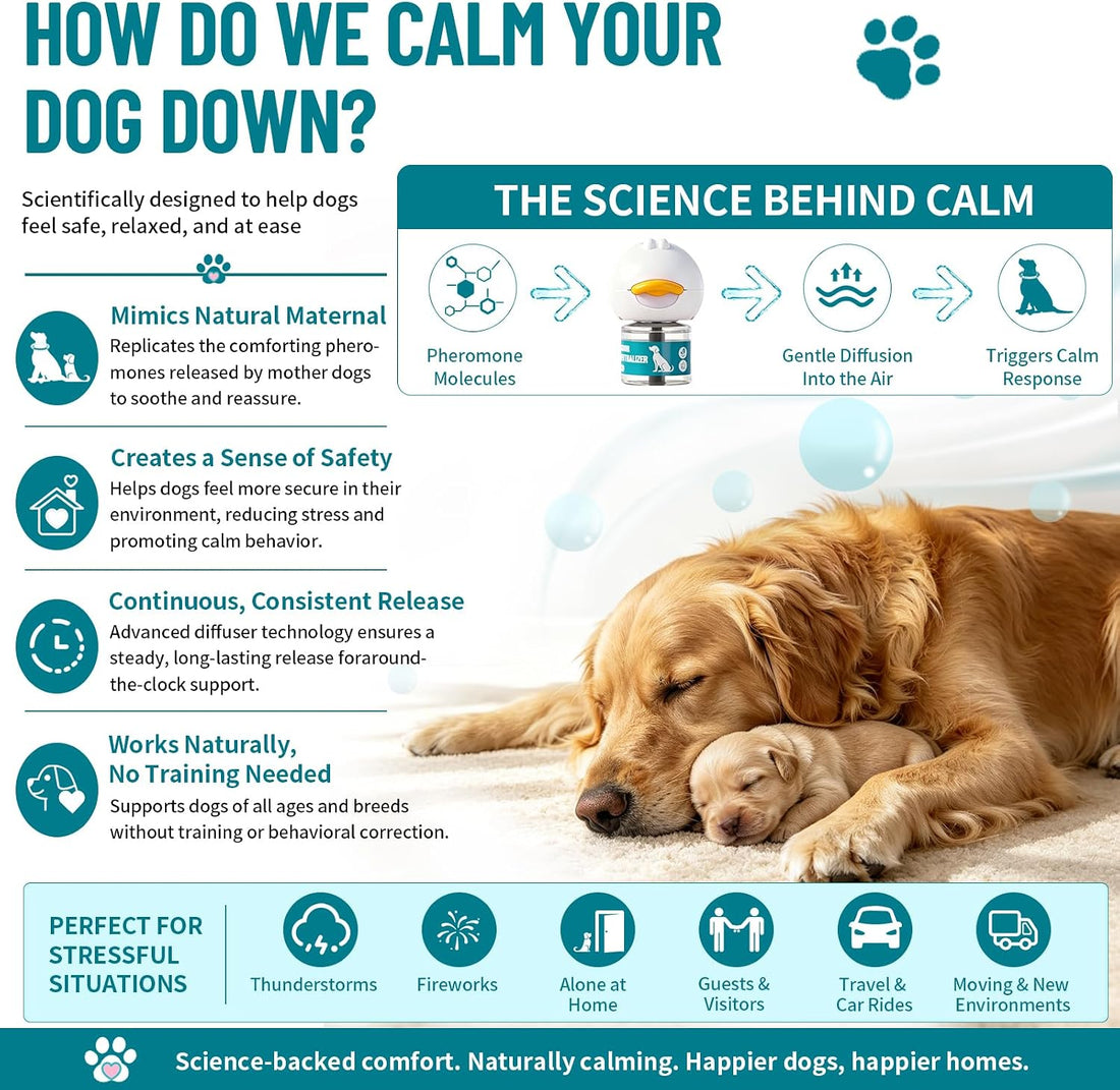 Upgraded Dog Calming Diffuser with 2 Plug-in + 4 Refill