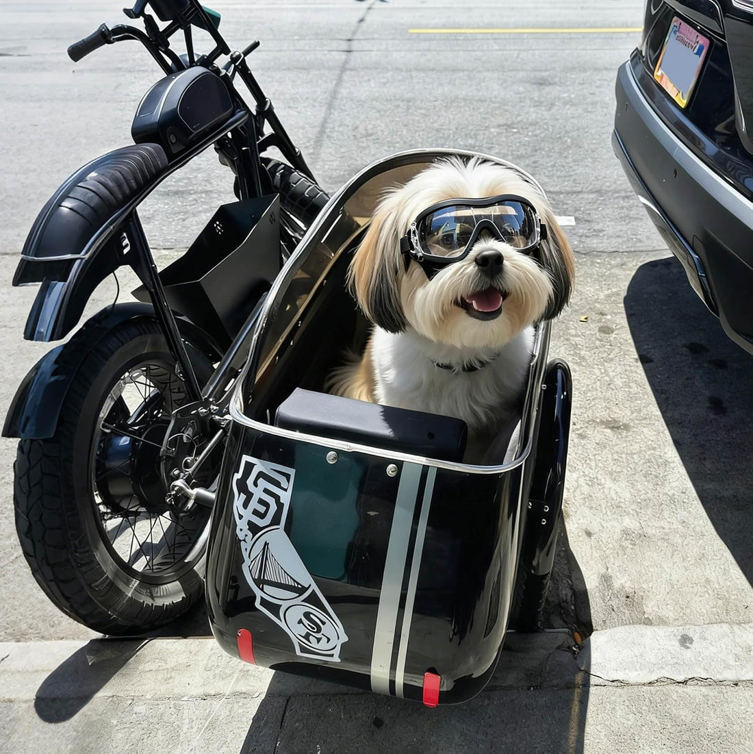 NAMSAN Clear Dog Goggles for Small Dogs