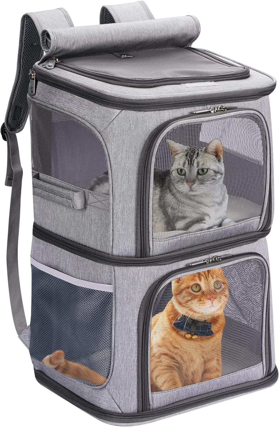 2-in-1 Double Pet Carrier Backpack for Small Cats & Dogs