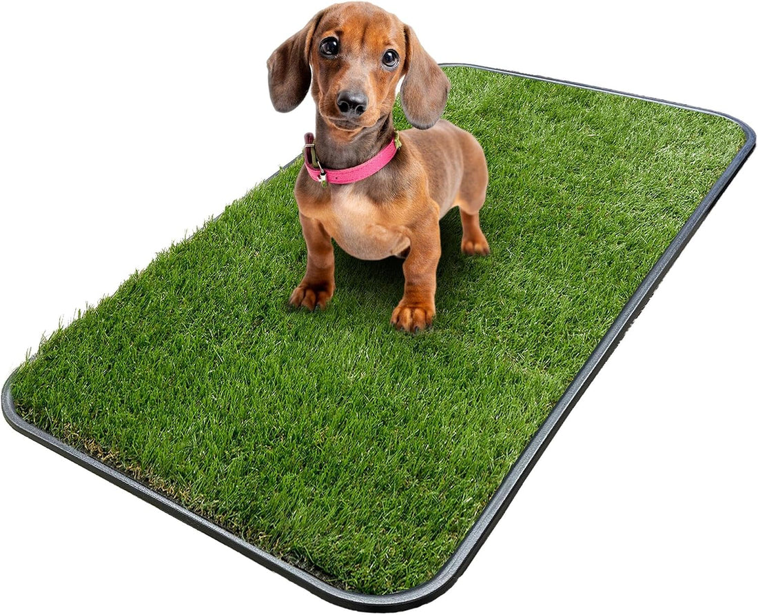 Ottomanson Multipurpose All Season Boot Tray Mat