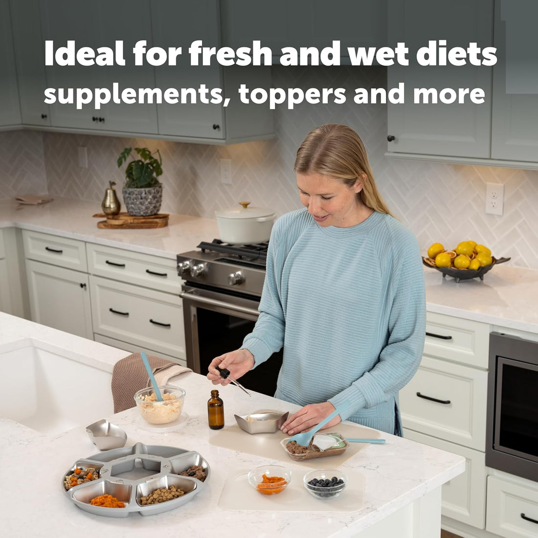 PetSafe FreshFeed Refrigerated Pet Feeder Automatic Wet Food Feeder