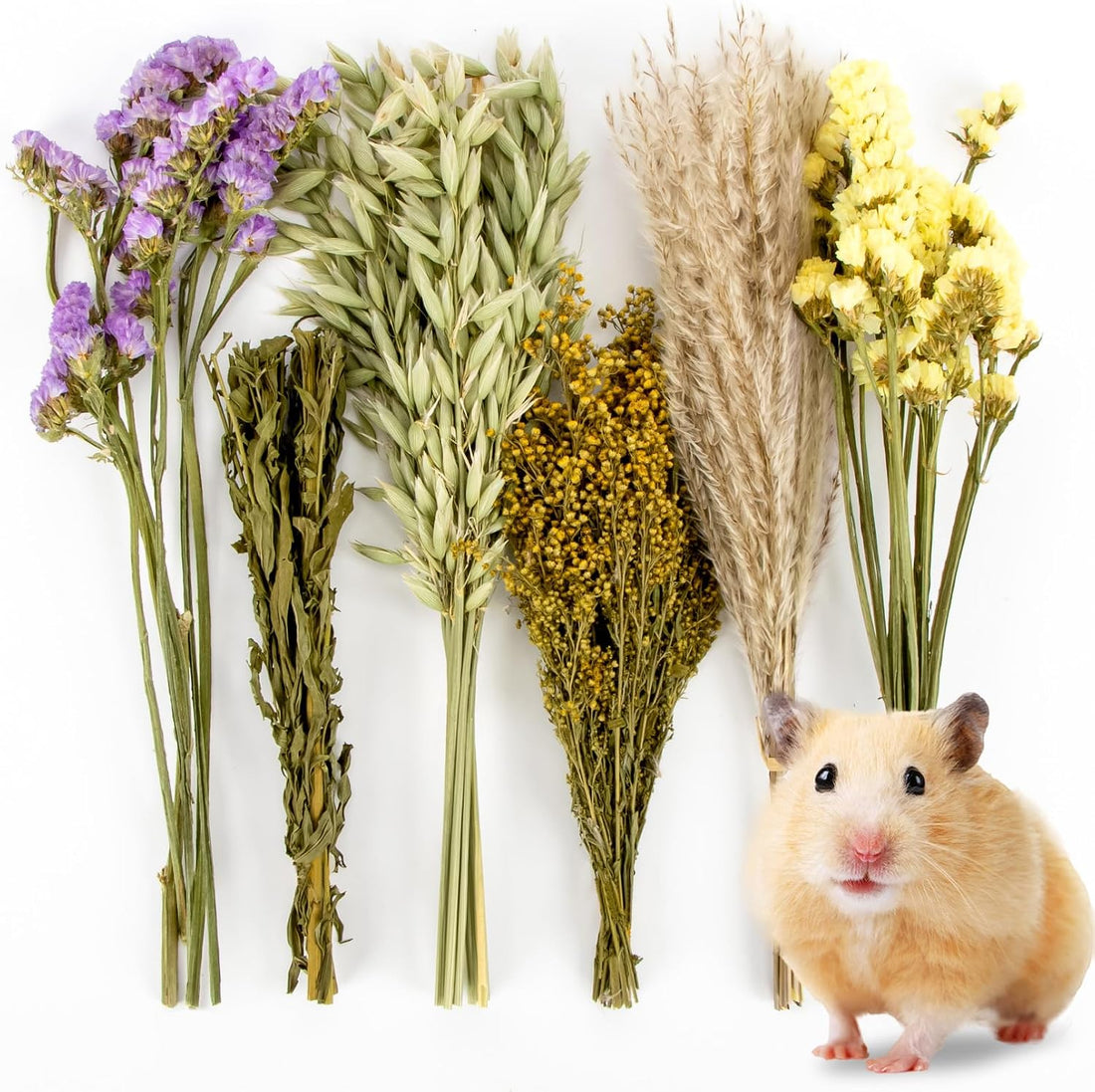 Sukh 42Pcs Hamster Sprays Natural - Sprays & Forage for Small Animals
