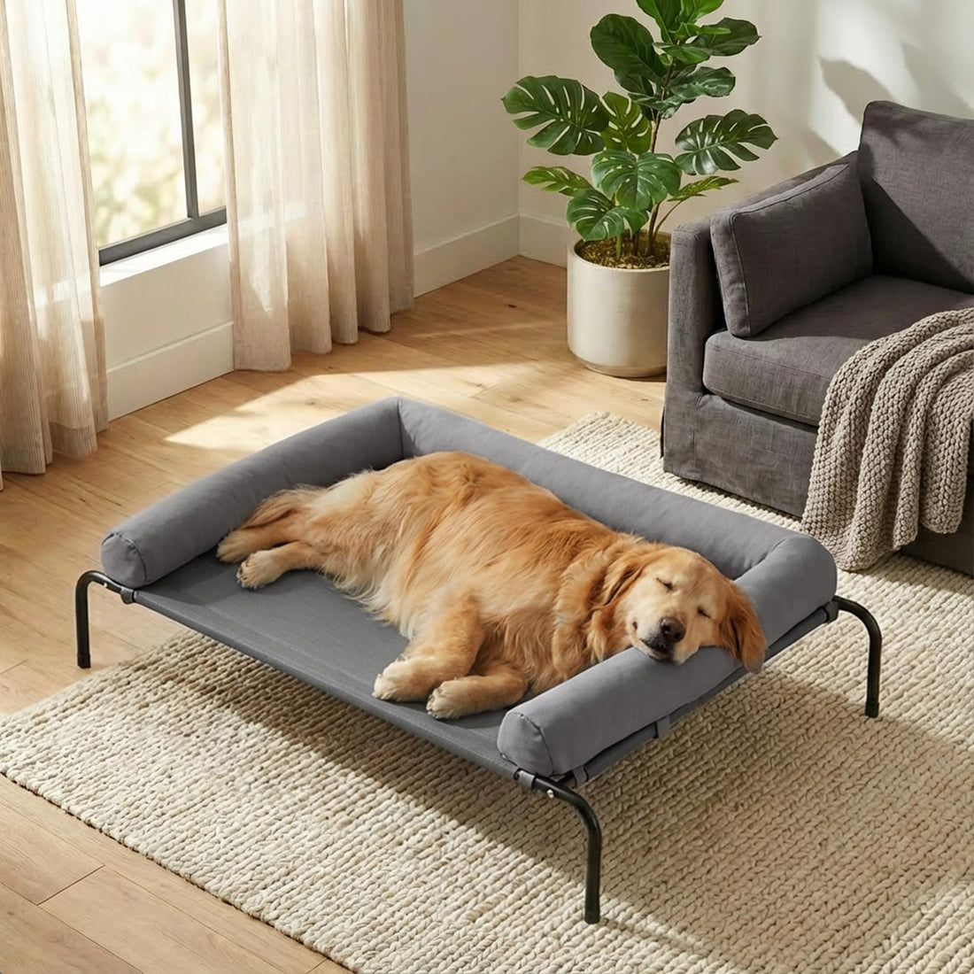 RRPETHOME Large Elevated Cooling Dog Bed 43 x 31 x 8 Inch