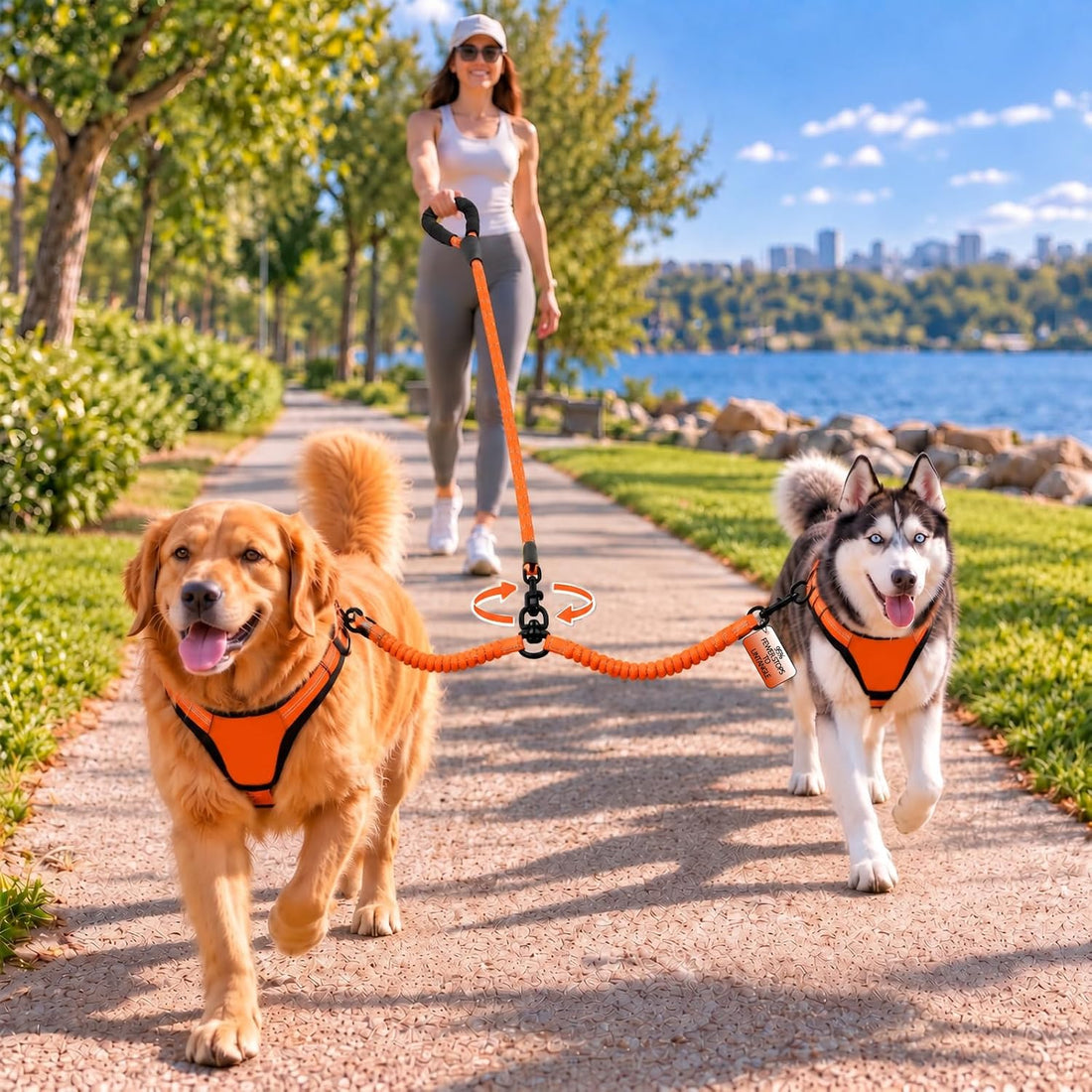 No Tangle Double Dog Leash: 95% Fewer Stops to Untangle for Walking 2
