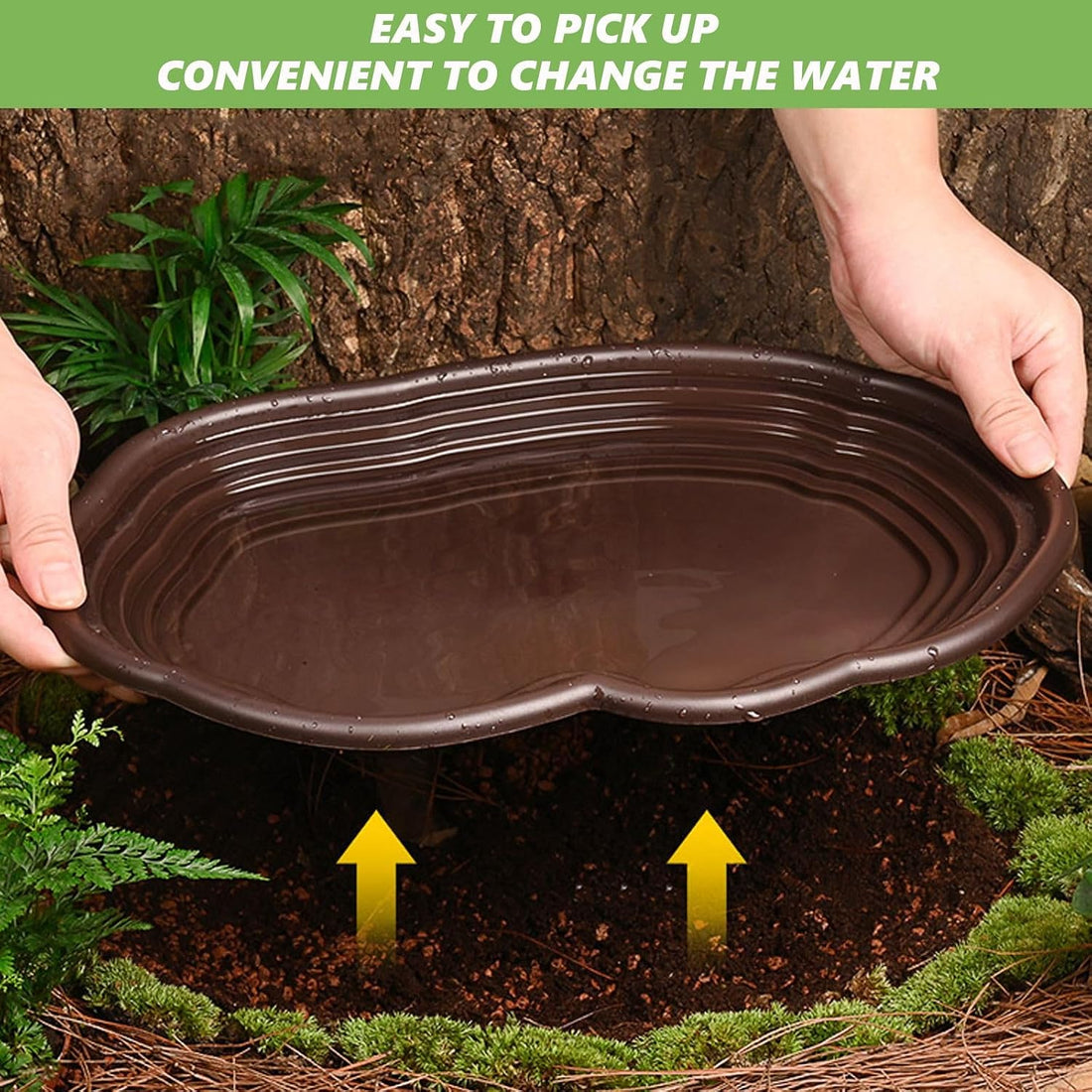 3PCS Tortoise Water Bowl with Ramp Leaf Tortoise Water Food Dish