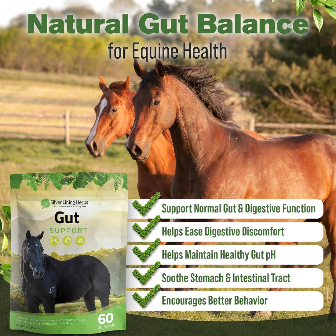 Silver Lining Herbs Gut Support Supplement for Horses - 1 lb