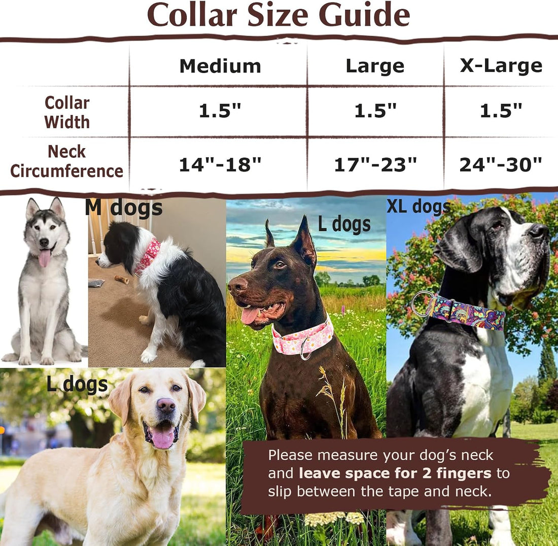 Wide Martingale Collar for Dogs,Red Floral No Pull Dog Collar