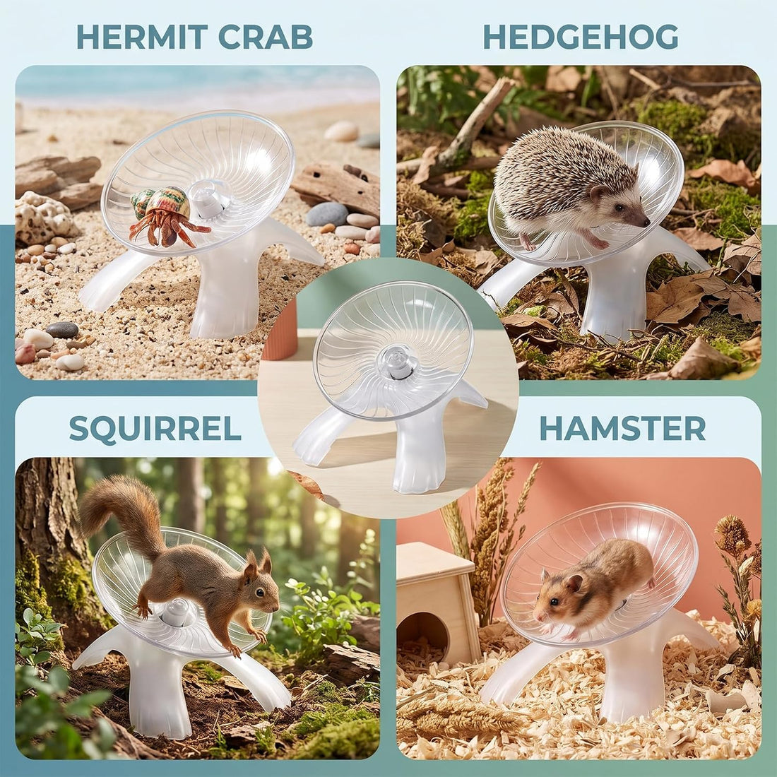 Hermit Crab Exercise Wheel, Silent Running Wheel Small Animal