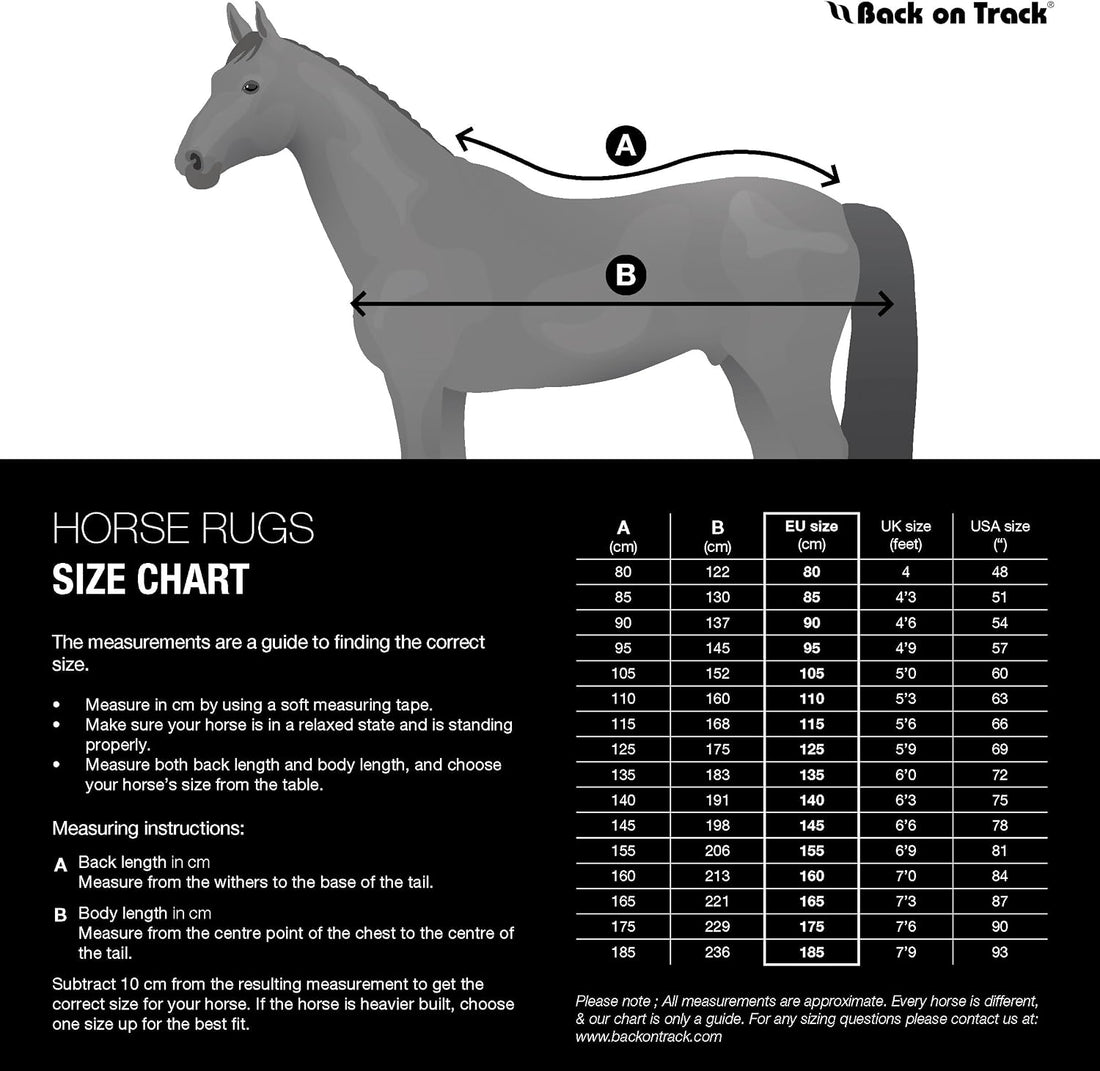 Back on Track Royal Mesh Sheet Deluxe Horse Blanket