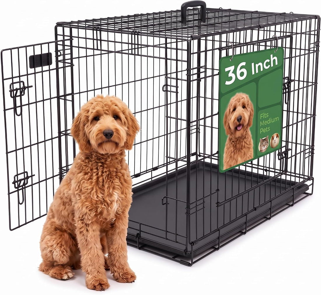 36-Inch Double Door Folding Metal Dog Crate