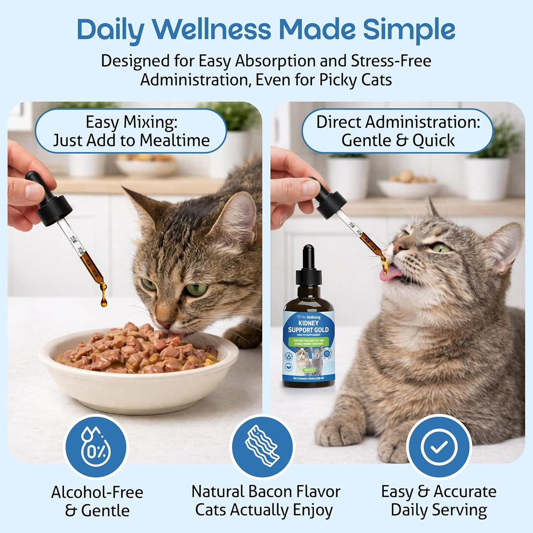 Pet Wellbeing Kidney Support Gold for Cats