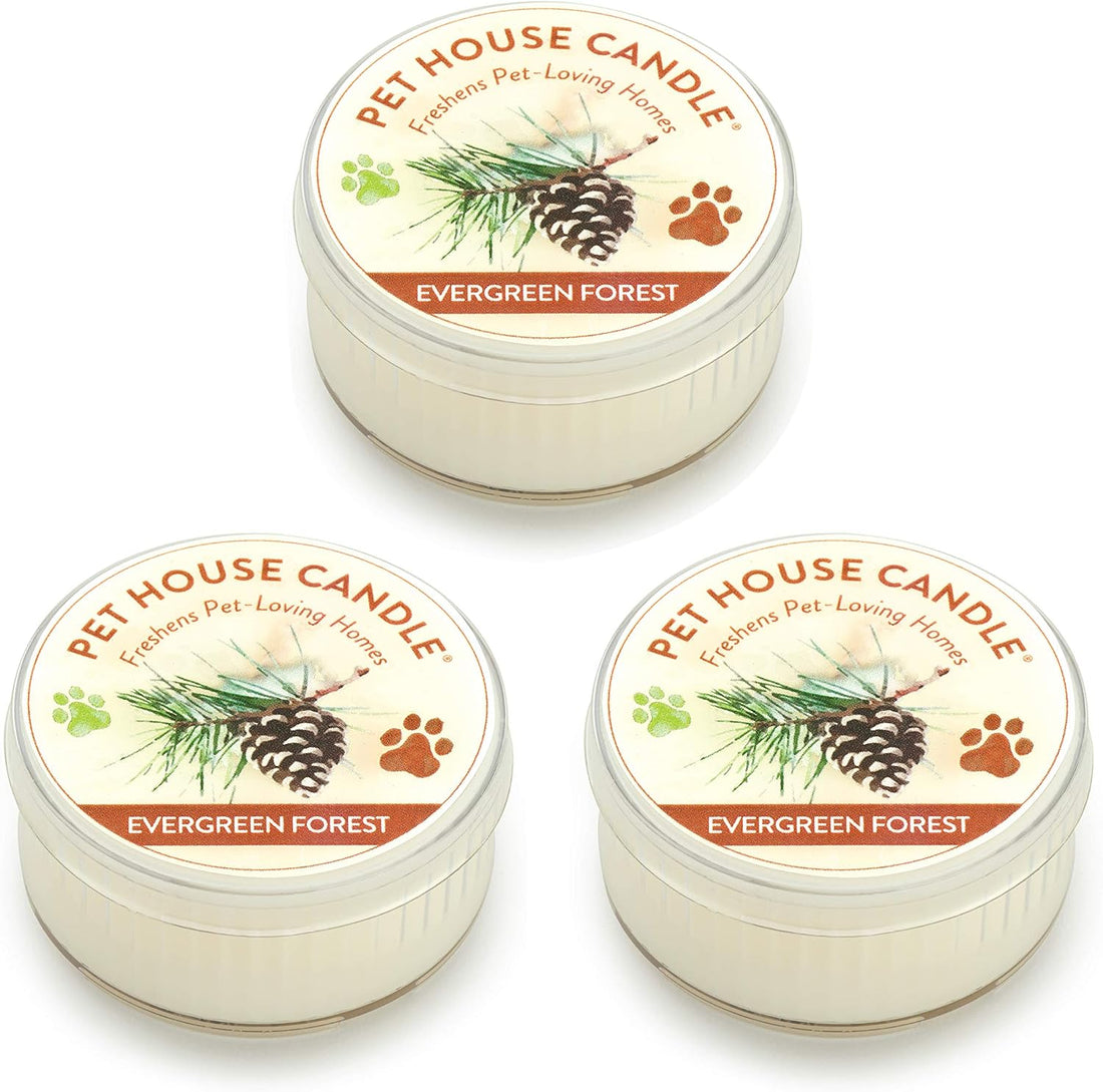 Evergreen Forest Mini Candles Plant-Based Wax, 3 Pack Pet House