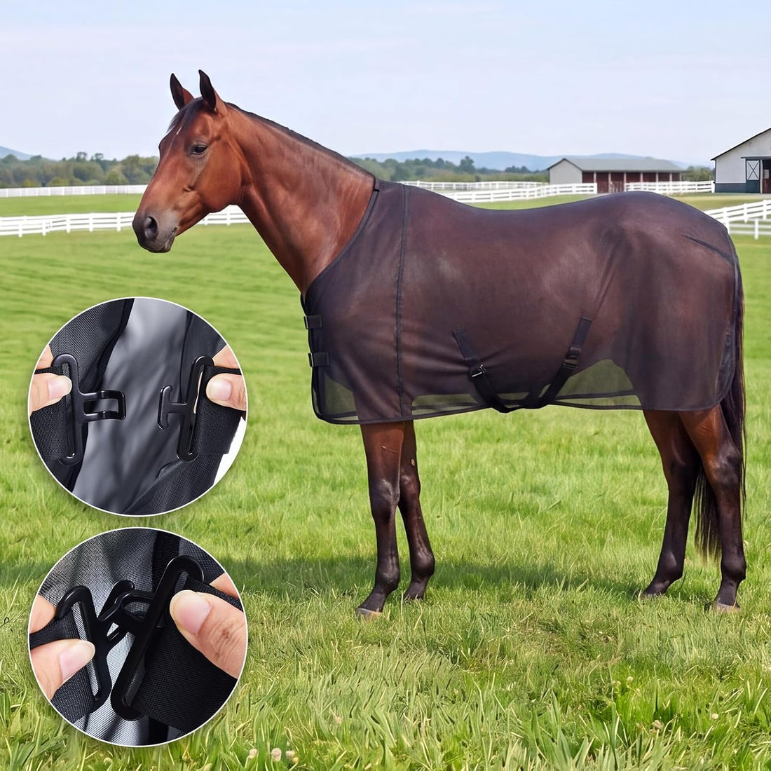 Breathable Mesh Horse Fly Sheet for Summer