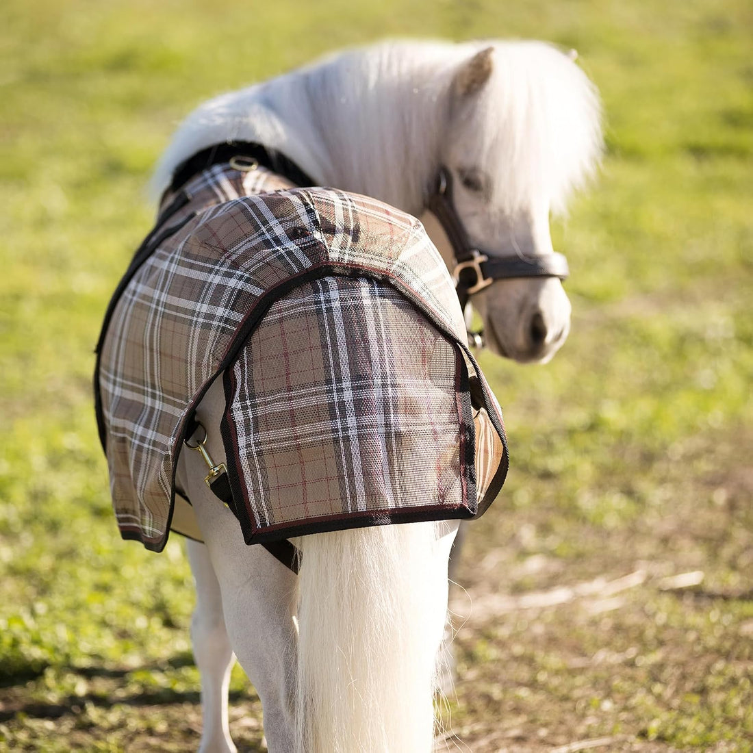 Kensington Signature Mini Textilene Protective Fly Sheet