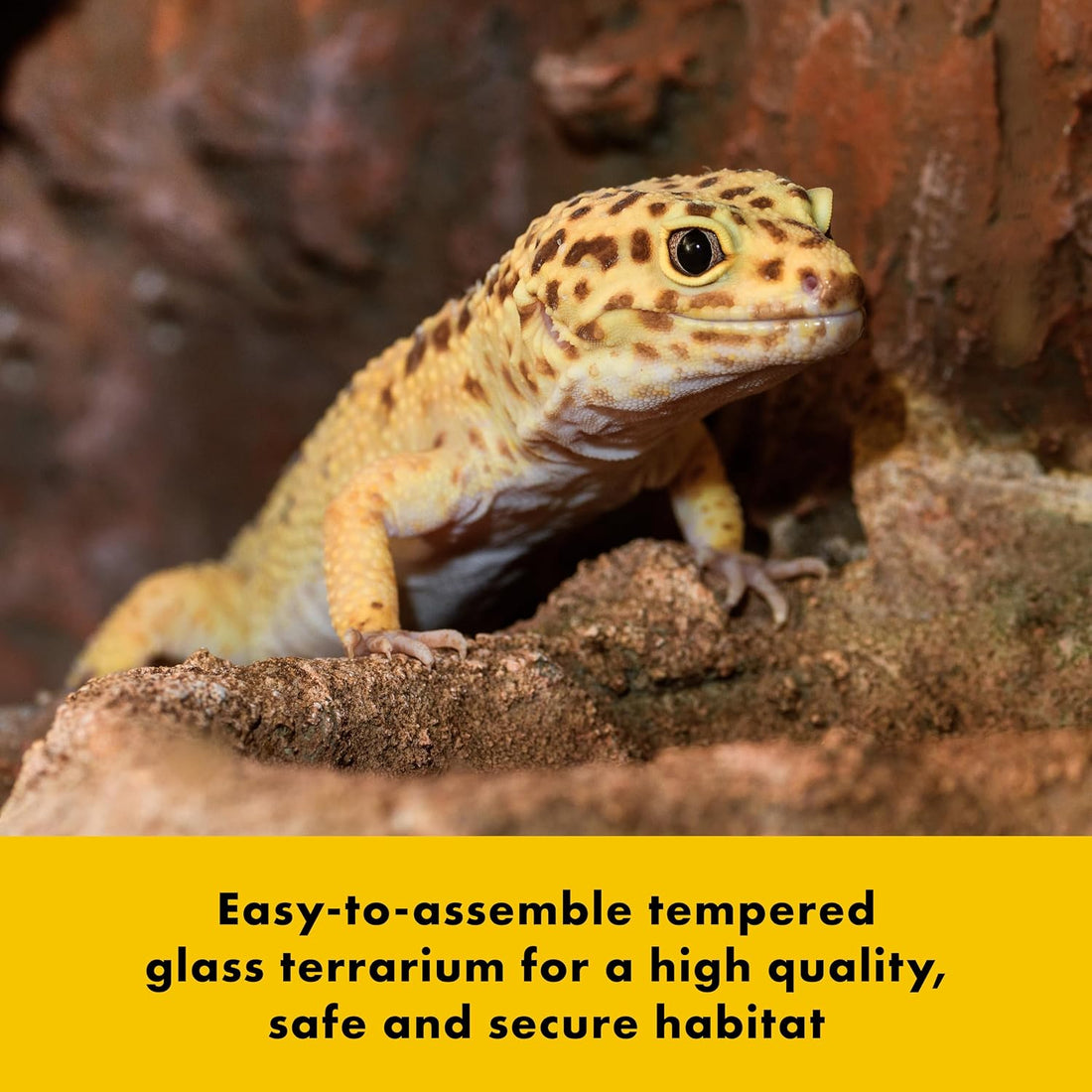 Zilla QuickBuild Reptile 65 Gallon Glass Terrarium, 48" x 18" x 18"