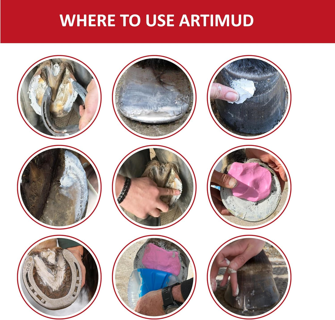 Artimud - Horse Hoof Putty | Thrush Treatment | 26.5 oz