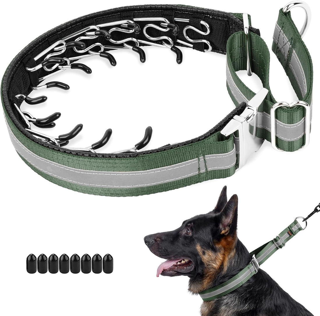 Mayerzon Martingale No Pull Dog Collar with Alloy Buckle, Green, L