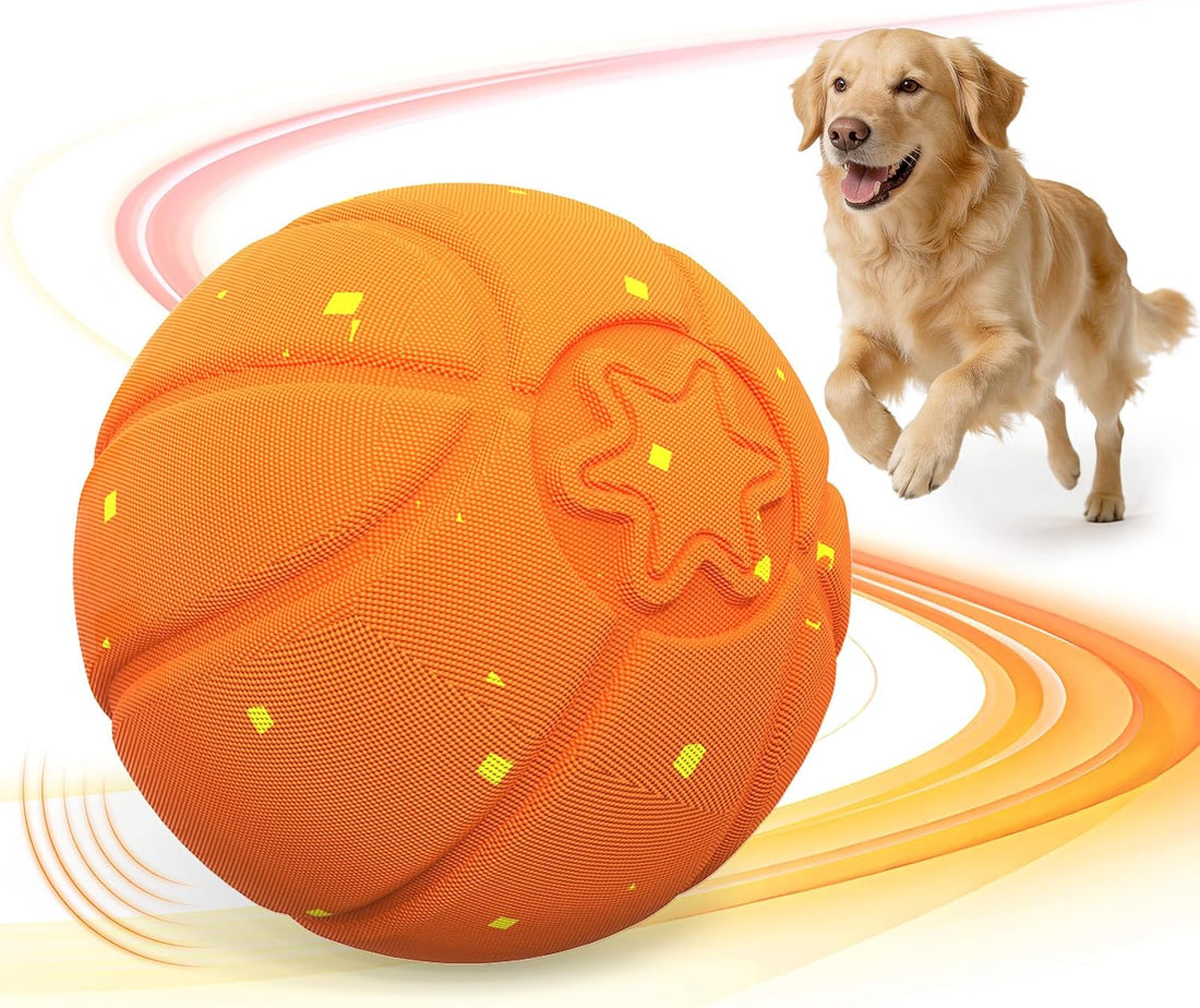 Invengo Interactive Dog Ball