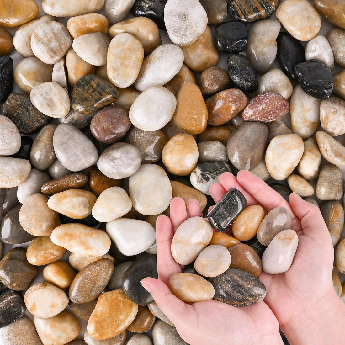 River Rocks for Plants 11.25 LB Small Decorative Pebbles 1"-1.5"