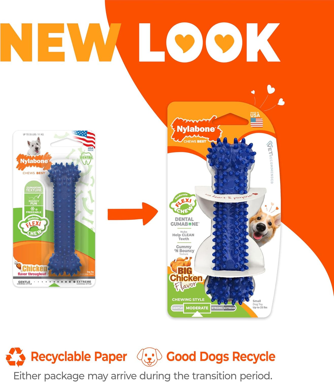 Nylabone Textured Dental Bone Flexi Chew Toy for Dogs