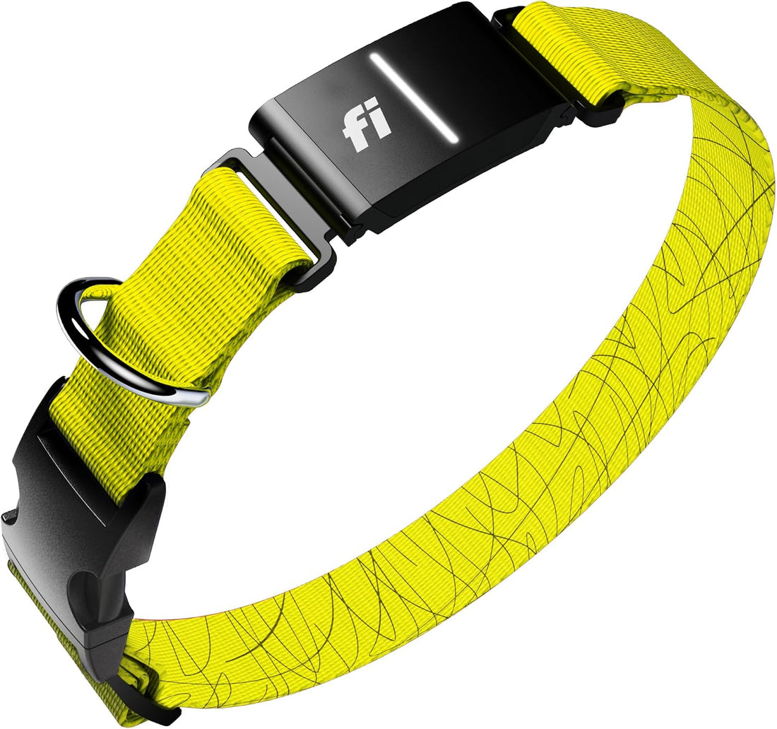 Fi Series 3+ GPS Dog Collar & Tracker, Membership Required, Gray L