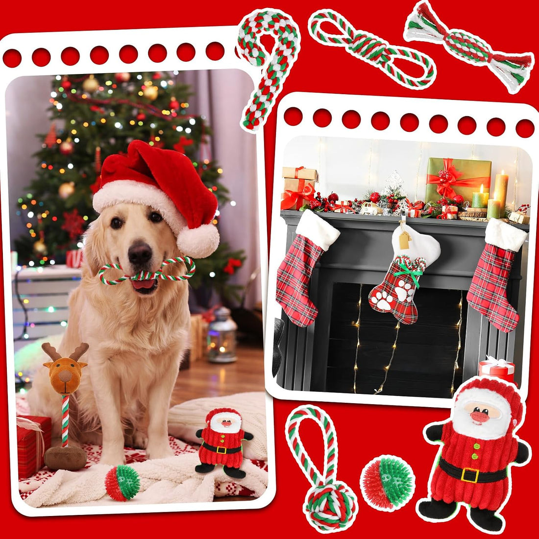Dansydaisy 10 Pcs Christmas Dog Toys Bulk Xmas Themed Gift Puppy Chew