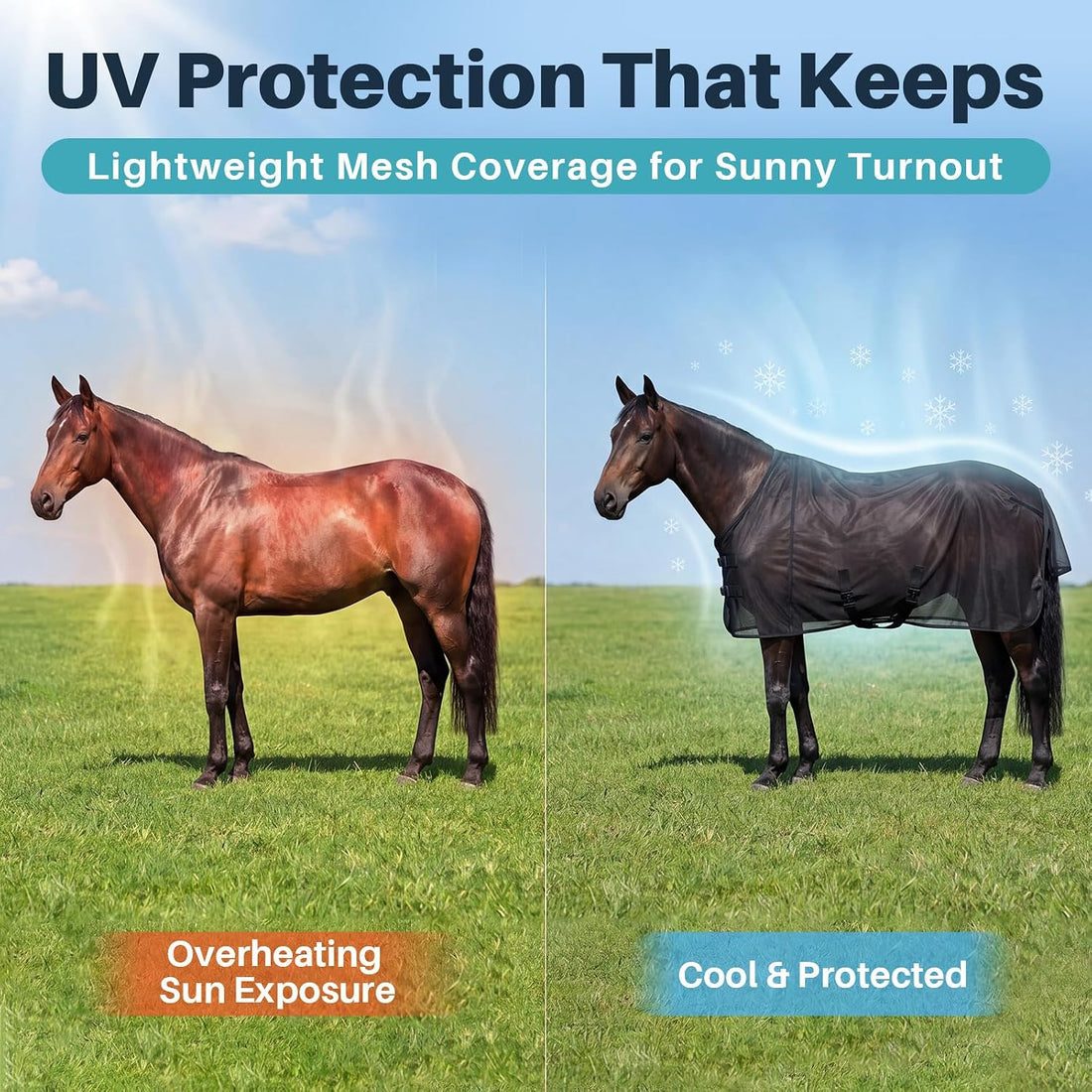 Breathable Mesh Horse Fly Sheet for Summer