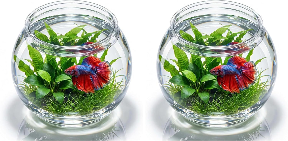 POPETPOP Plastic Aquarium Betta Fish Tank 1 Gallon Clear Goldfish