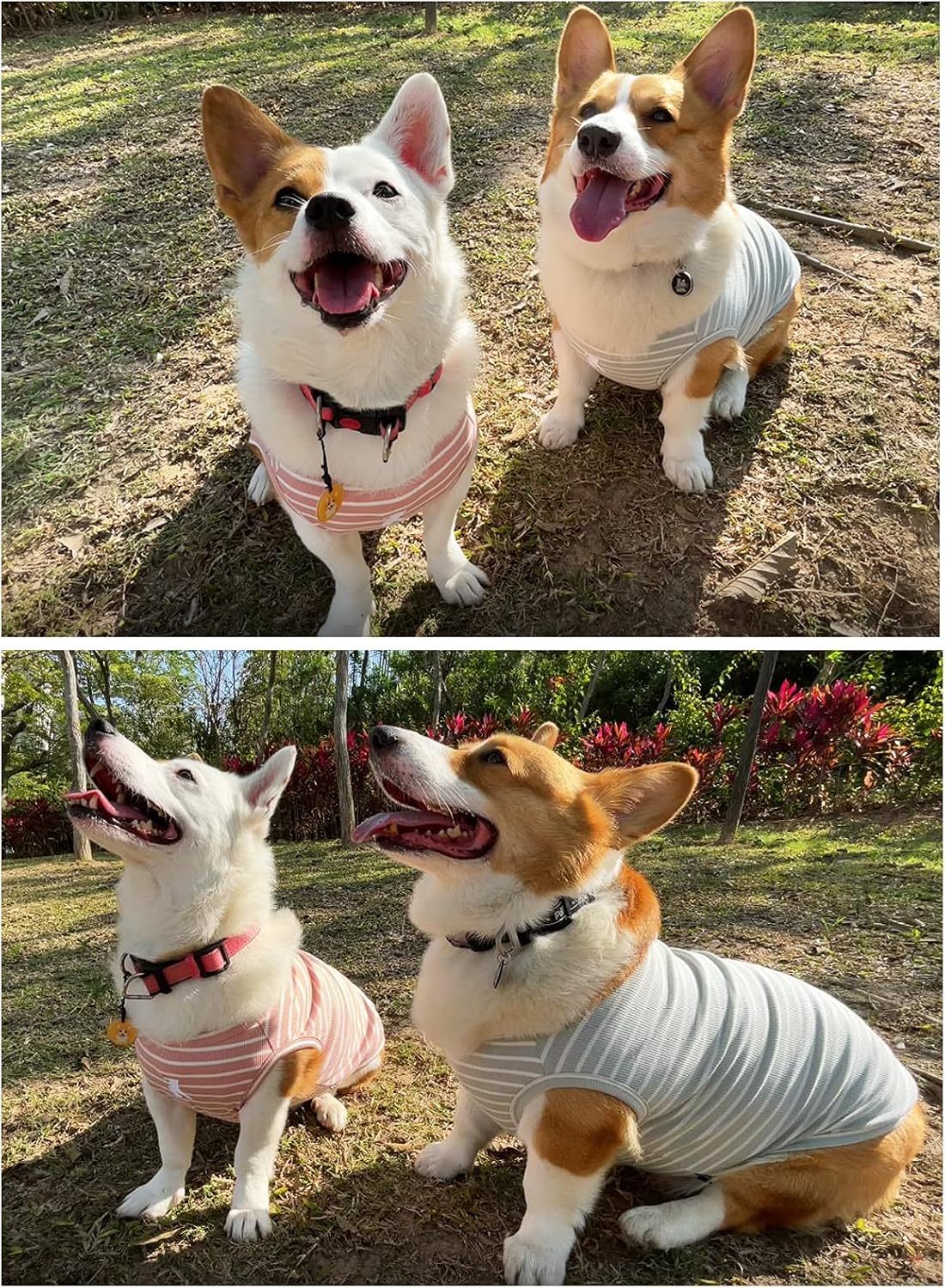 Koneseve Dog Shirt Vest Lightweight Stretchy Dog T-Shirts Soft Cool