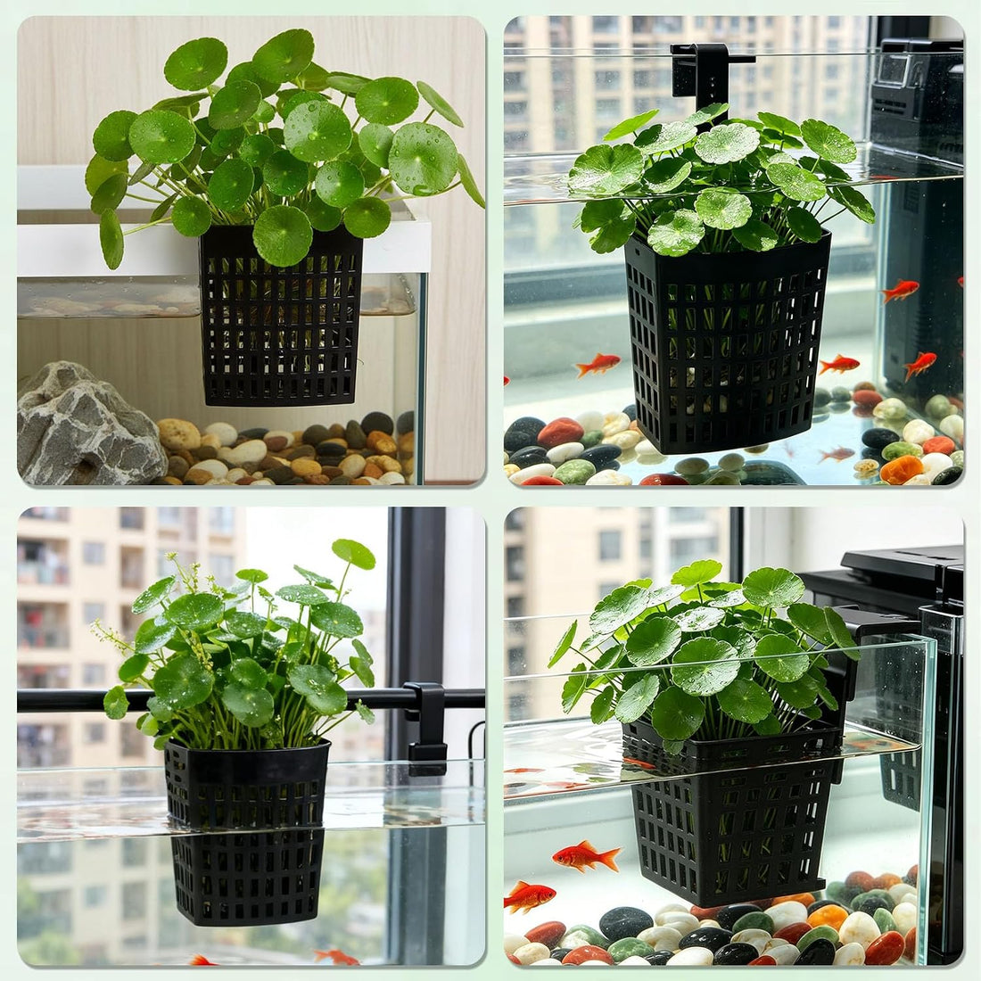 Upgraded Adjustable Aquarium Plant Holder,2 Pack Black