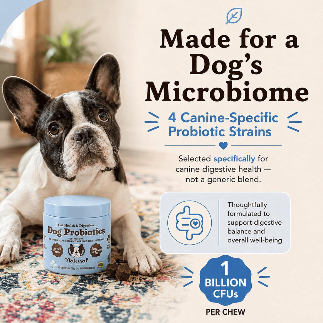 Natural Dog Company Probiotics for Dogs