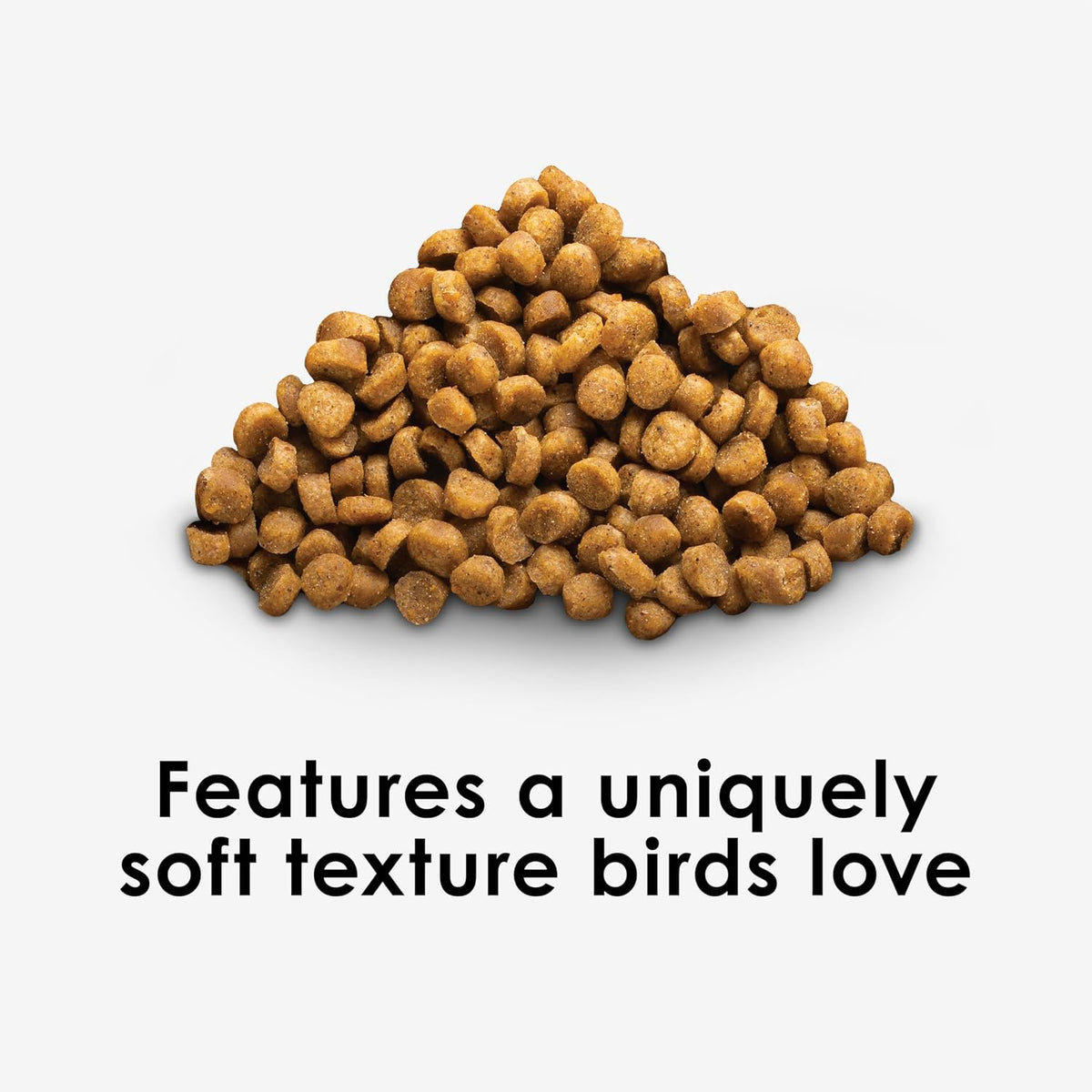 Kaytee Nutri Soft Pet Parrot & Conure Bird Food, 3 Pound