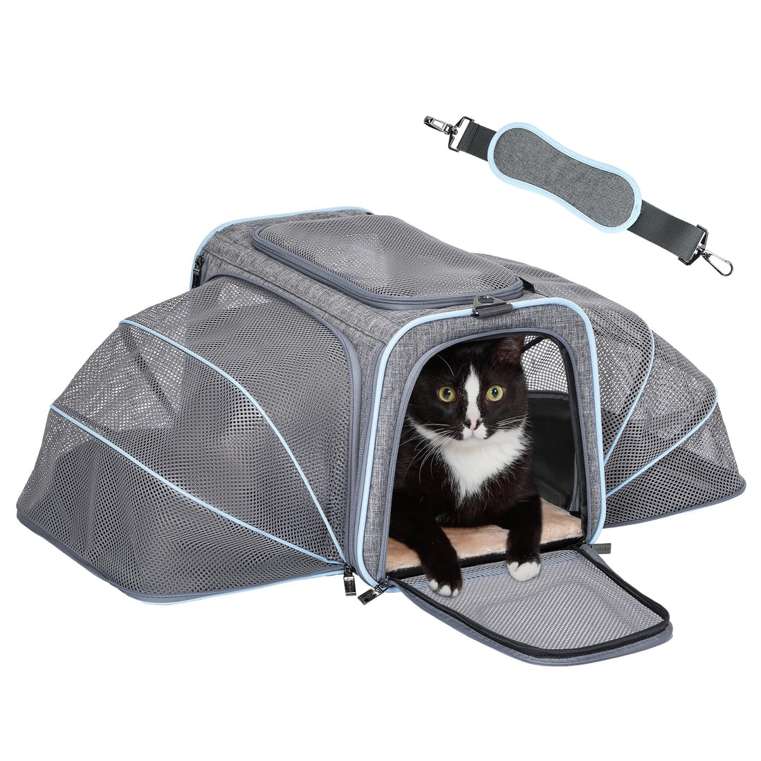 Petsfit Expandable Large Cat Carrier Small Dog Carriers Airline