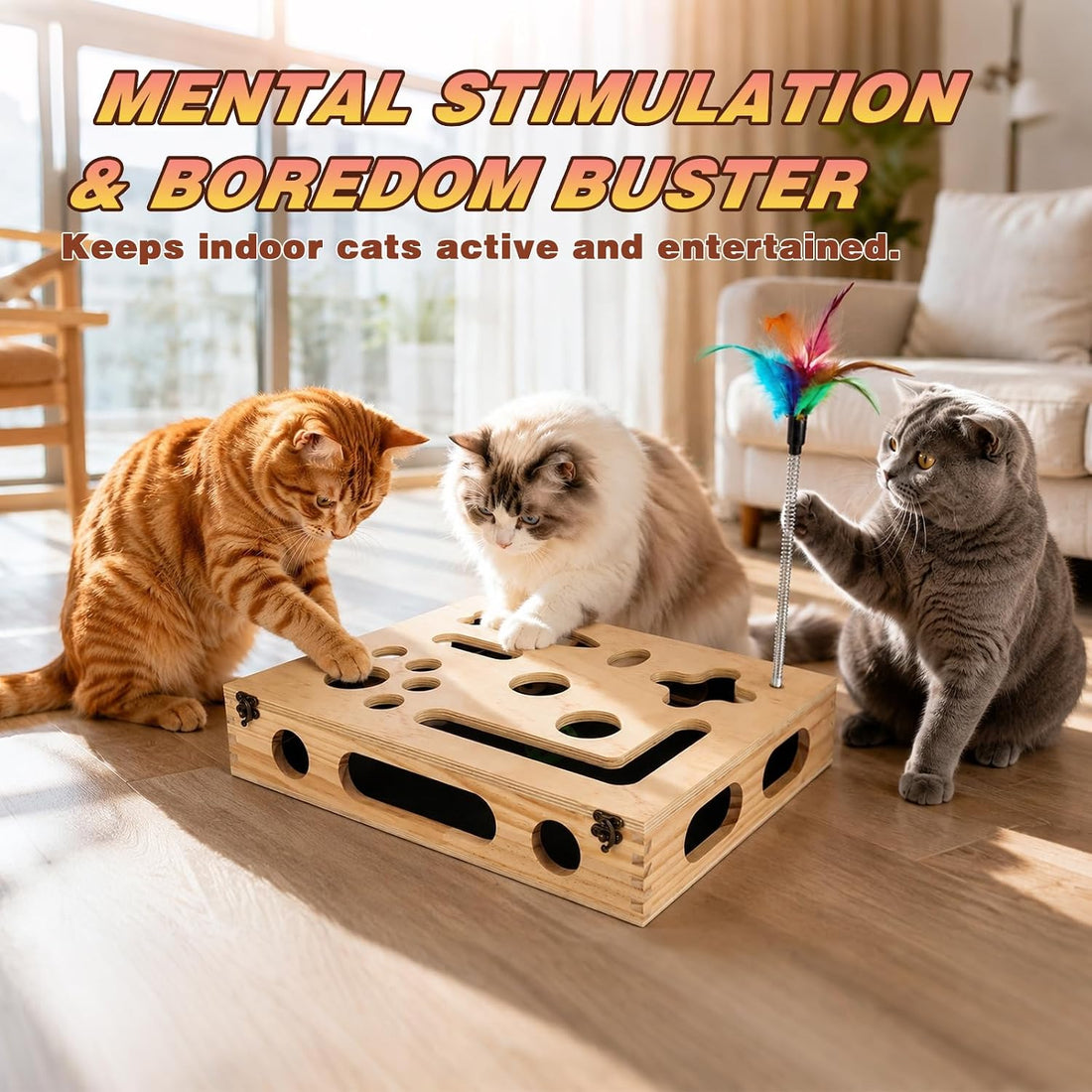 Cat Scratch Puzzle Enrichment Box