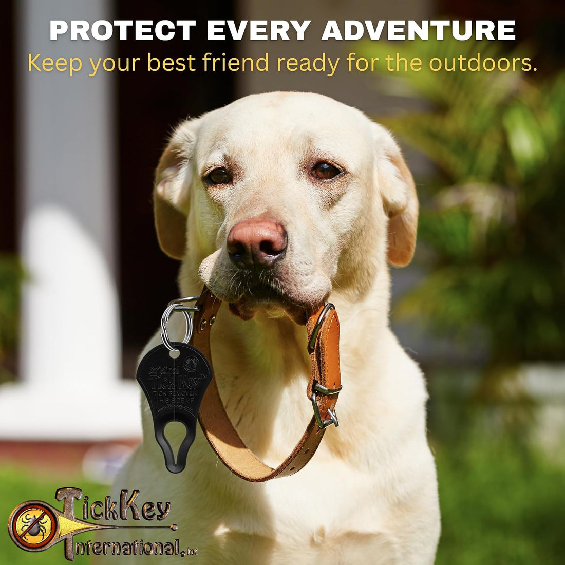 The Original Tick Key - Tick Detaching Device - Portable