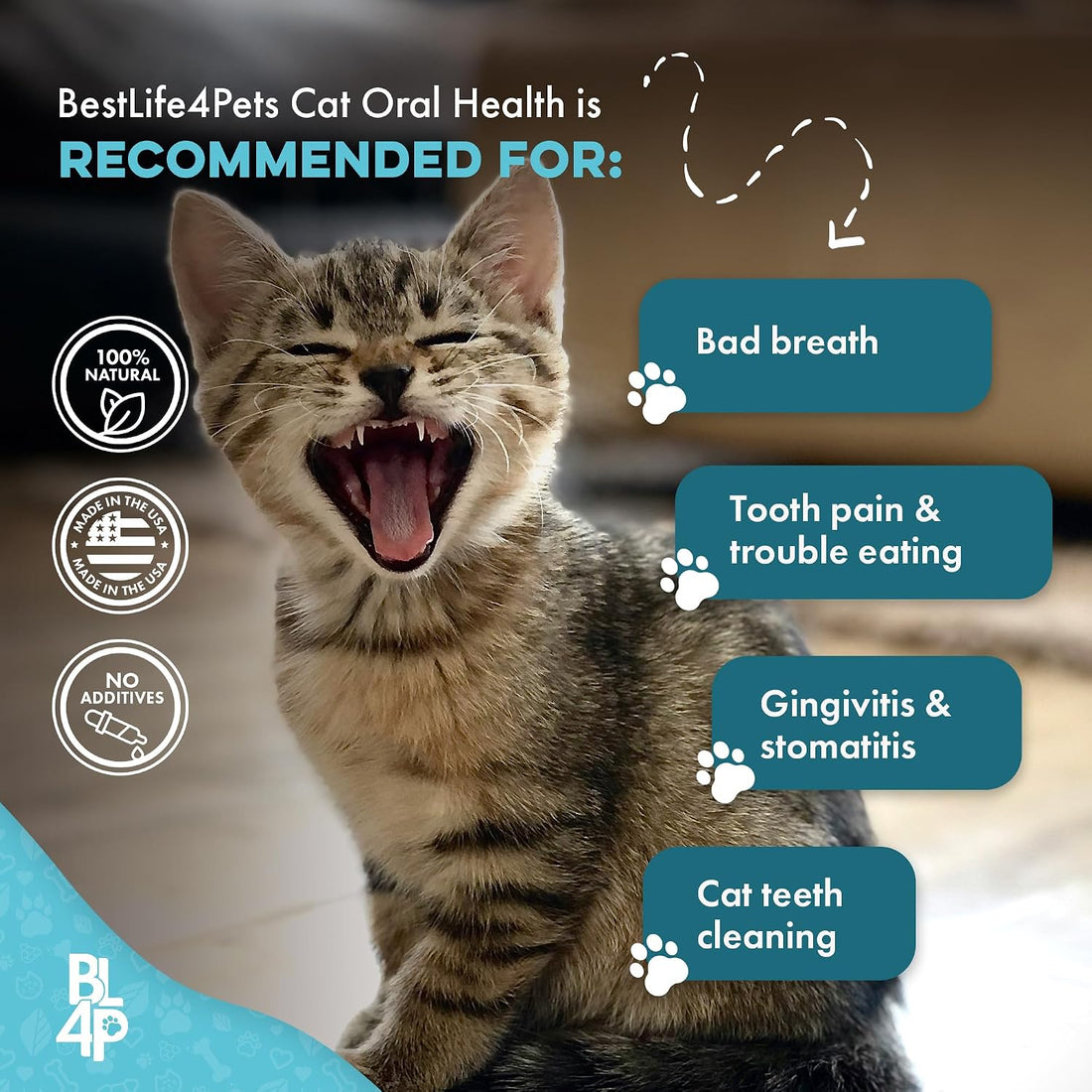 Cat Dental Care Supplement for Bad Breath, Tartar & Gum Support