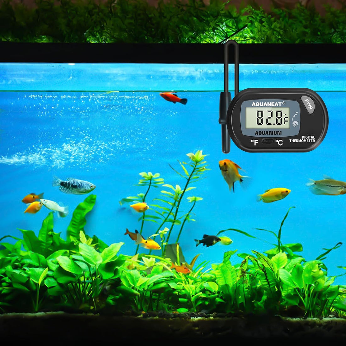 AQUANEAT 2 Pack Aquarium Thermometer, Fish Tank Thermometer