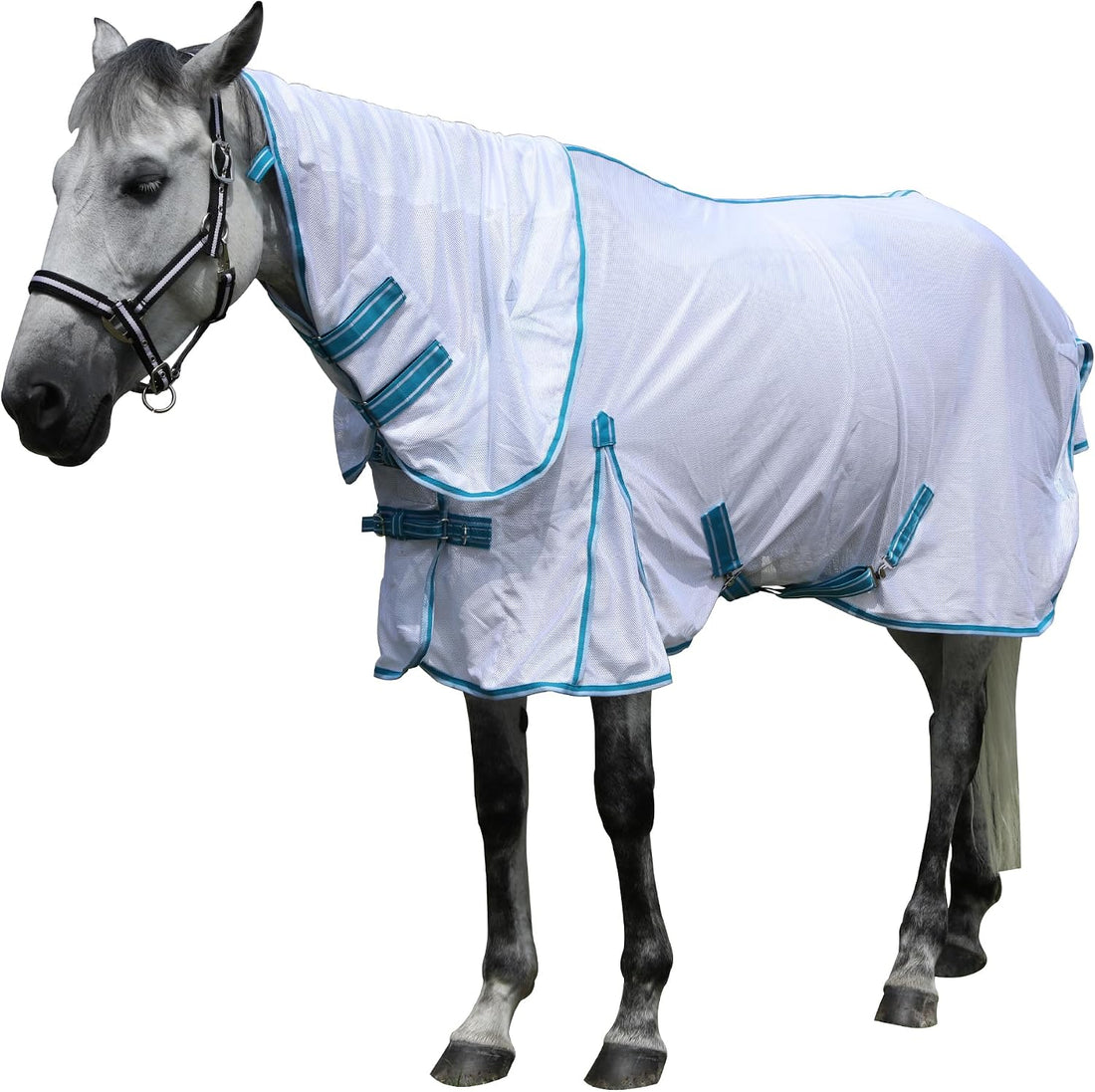 Horse Fly Sheet with Neck, Open Weave Mesh for Hot Weather
