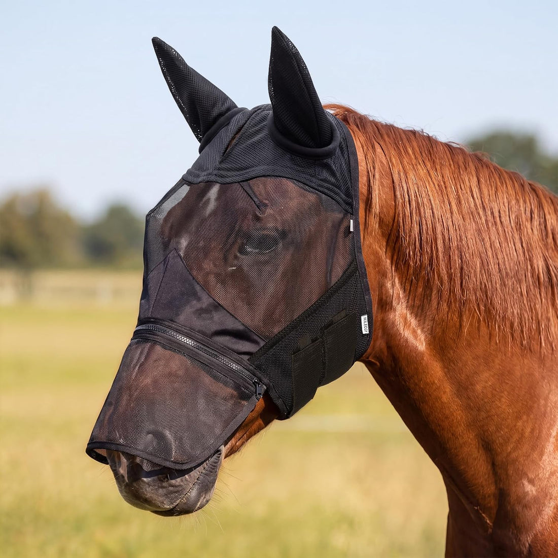 Horse Fly Mask with Ears & Detachab Nose Cover, Medium
