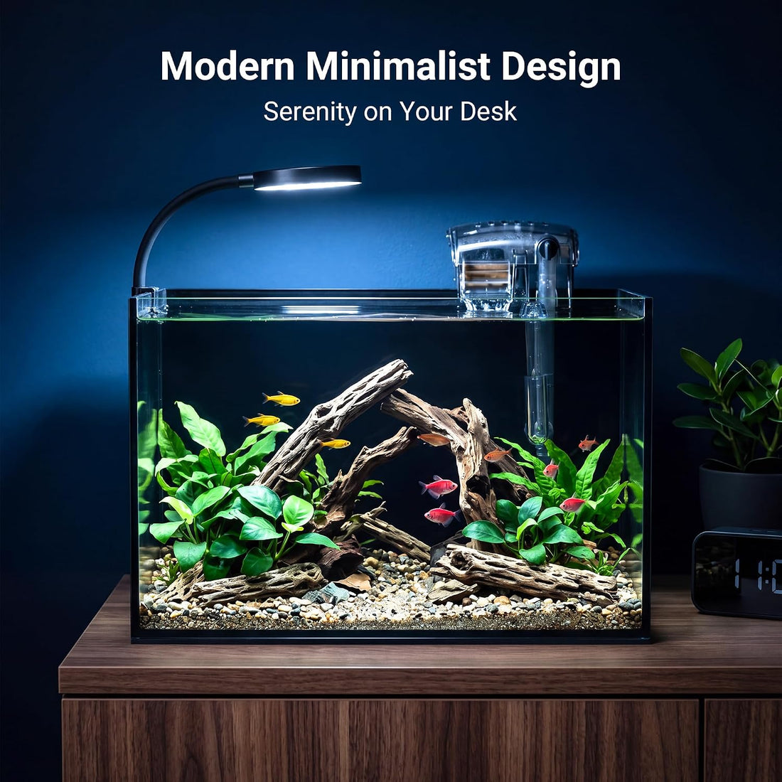 Smart Fish Tank,2.8Gallon Fish Tank,Kit with LED