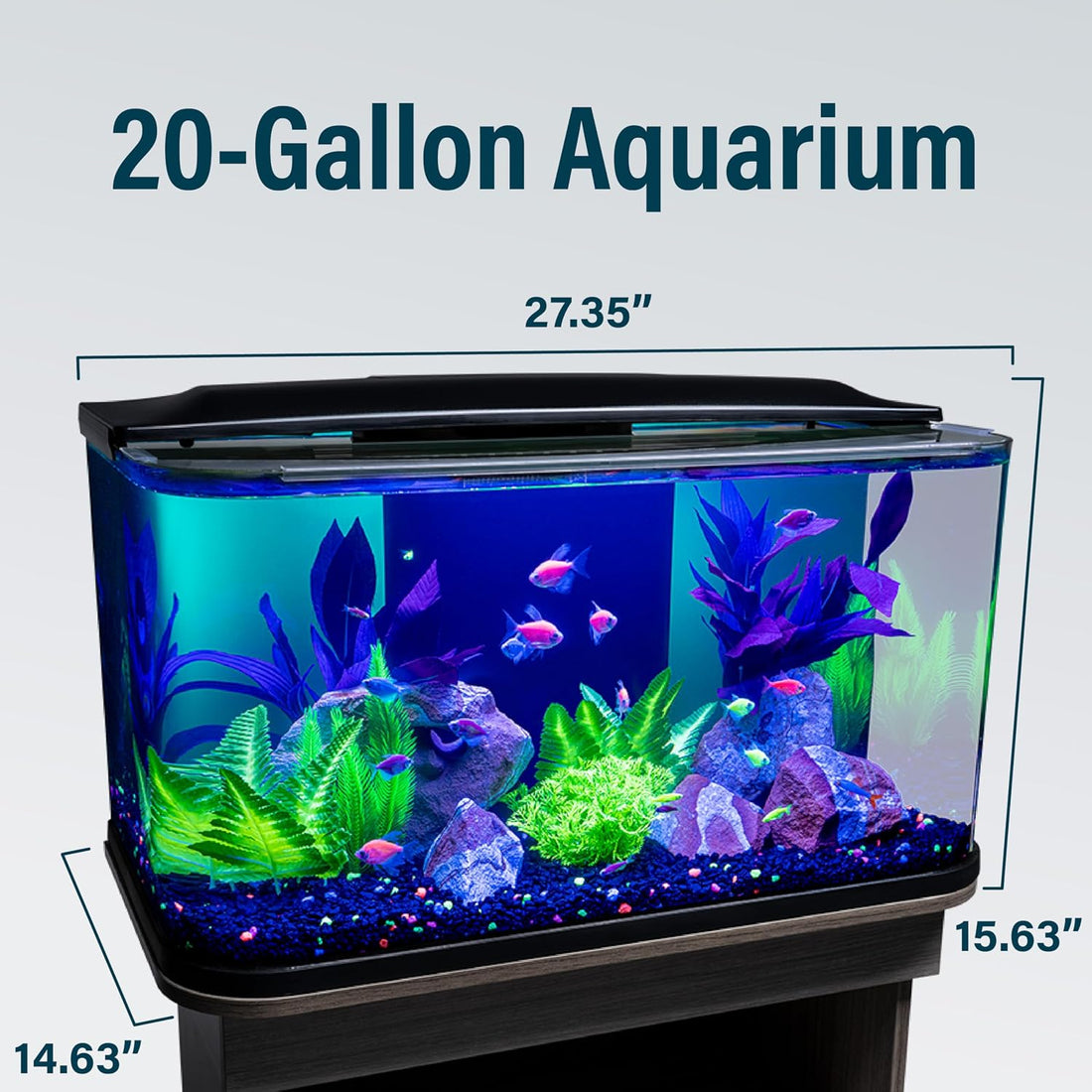 GloFish 20 Gallon Premium Fish Tank Kit