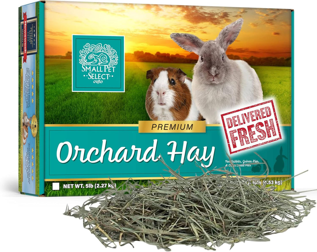 Small Pet Select Orchard Grass Hay Pet Food for Rabbits, Guinea Pigs