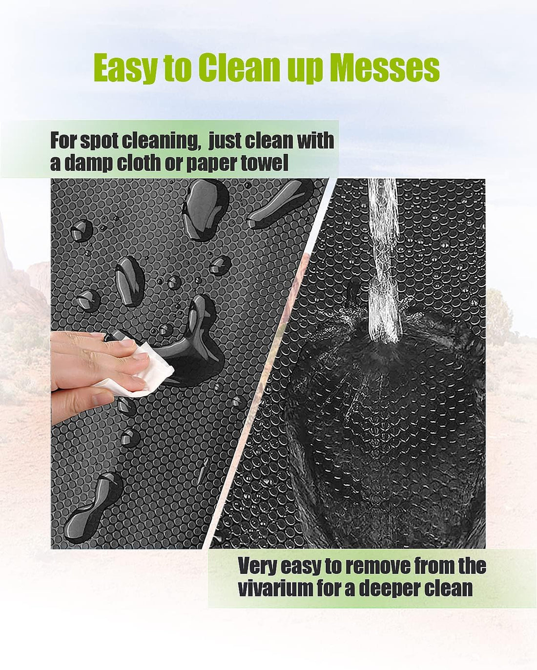Bearded Dragon Tank Accessories