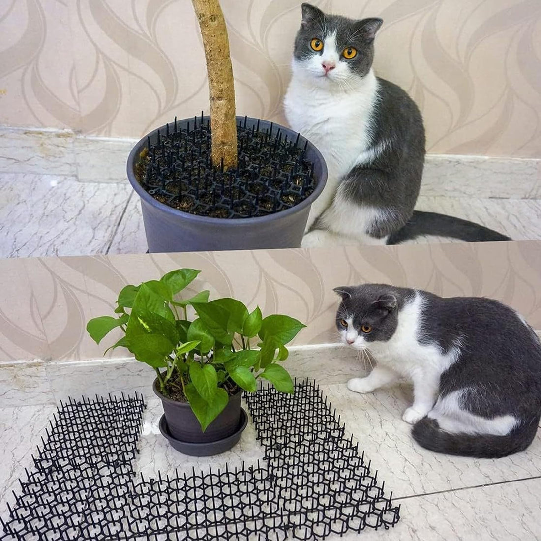 Cat Deterrent Mat 27.5x15.5in Plastic Spike Design