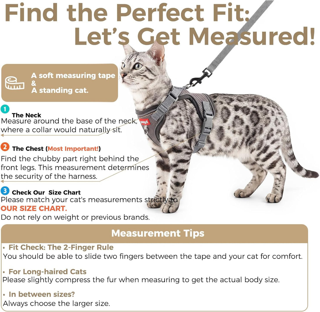 Cat Harness and Leash Set, Lightweight Air-Mesh Cat Vest, Black, XL