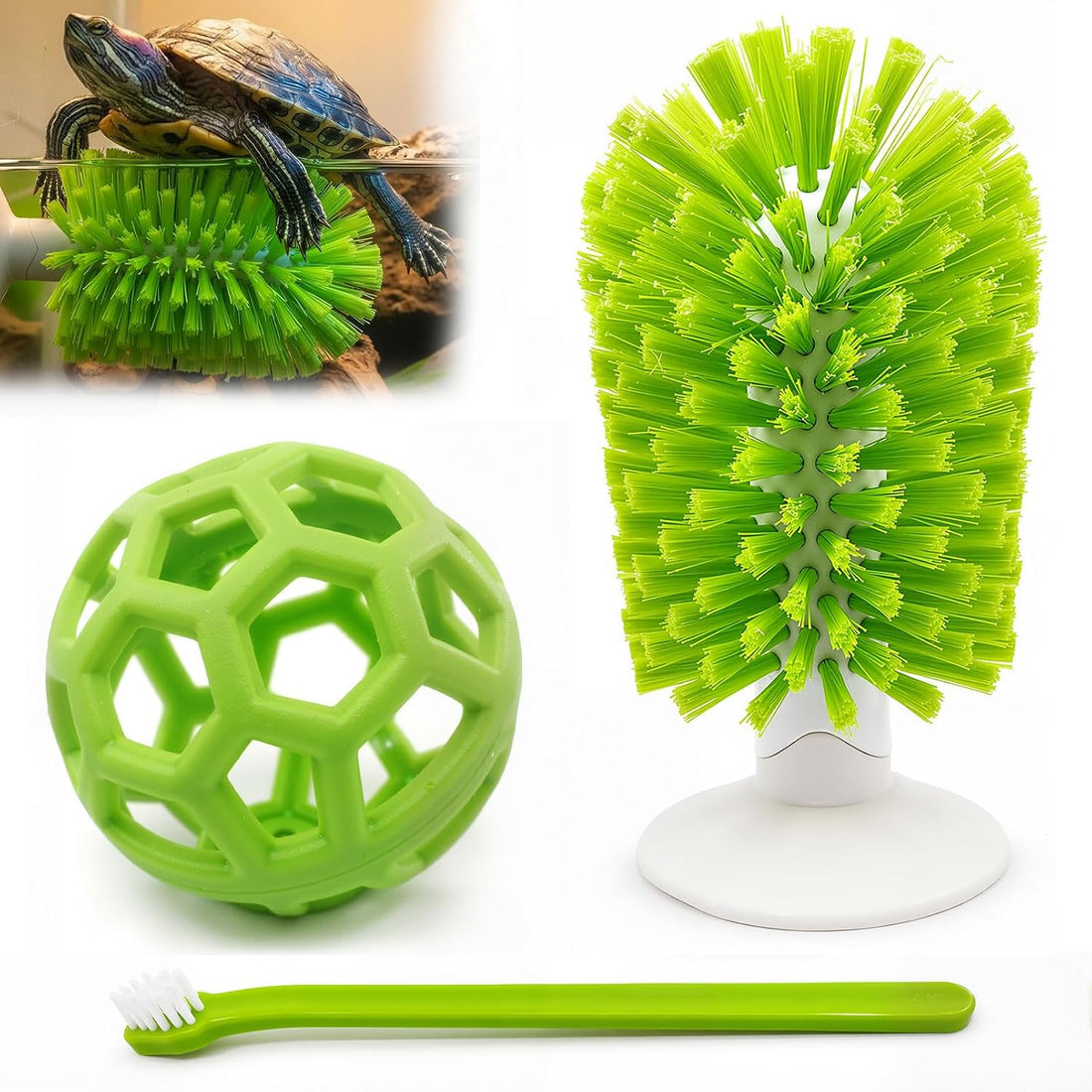3-Piece Turtle Shell Brush & Feeder Ball Set