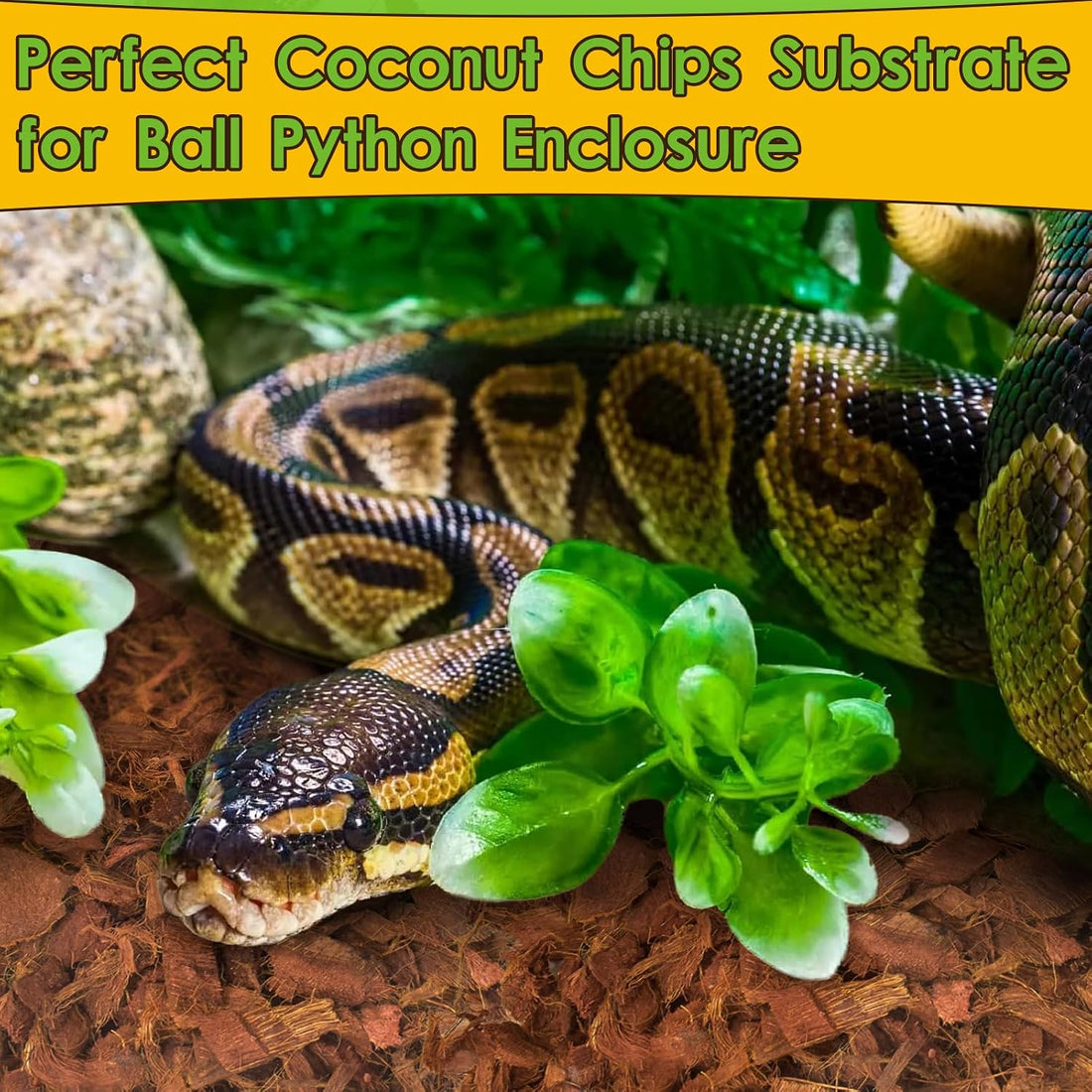 Halatool Organic 10LB Coconut Husk for Reptiles