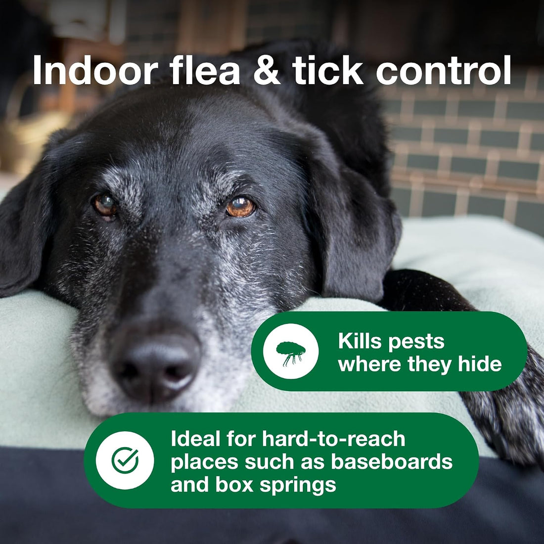 Advantage Spot & Crevice Spray, Kills Fleas & Ticks, 24 oz.